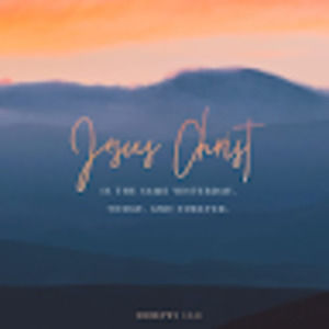 Meet your Posher, Claire